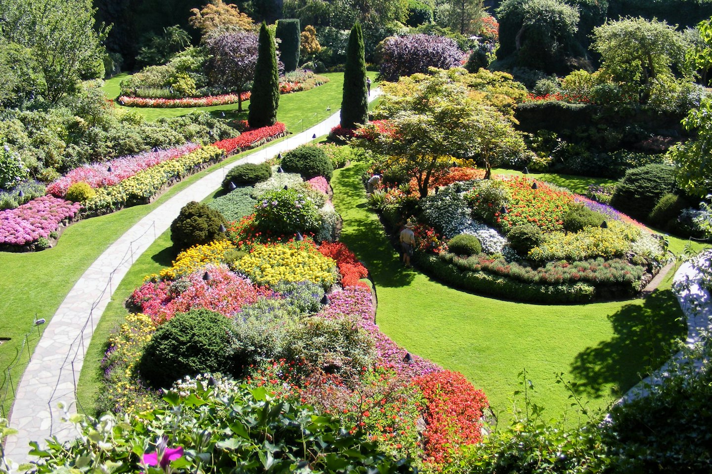 Stigarna slingrar sig genom färgglada blomsterrabatter i en botanisk trädgård.